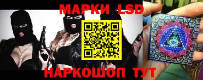 шишки Будённовск