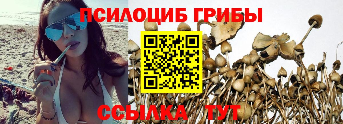 Галлюциногенные грибы MAGIC MUSHROOMS  Вход с VPN  Набережные Челны 